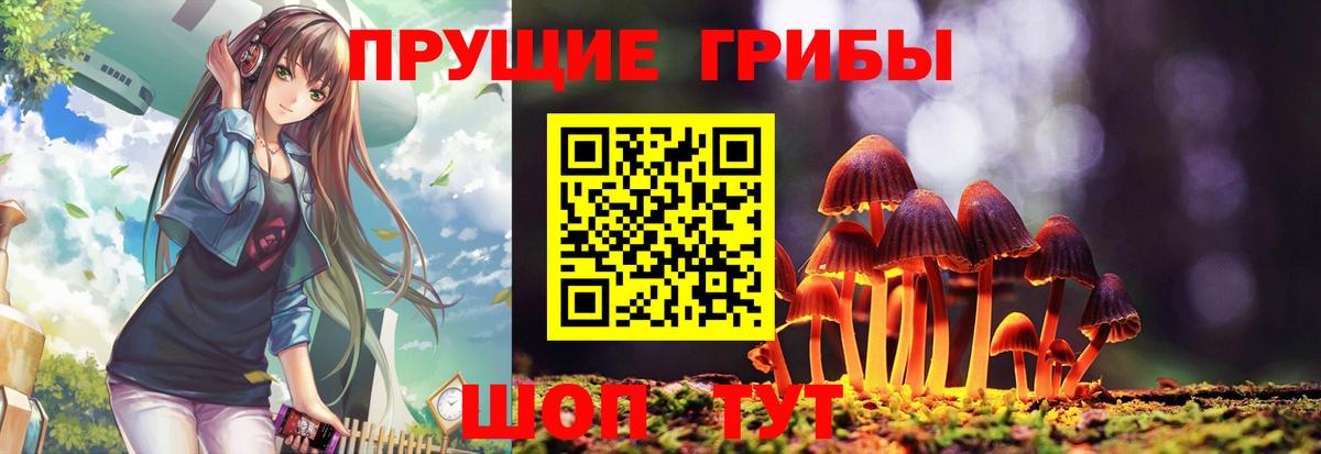 Галлюциногенные грибы Psilocybine cubensis  где можно купить   Рассказово  Вход с VPN 