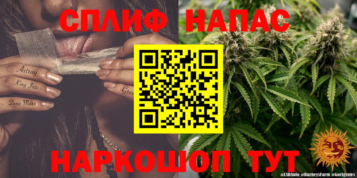Каннабис OG Kush Рассказово
